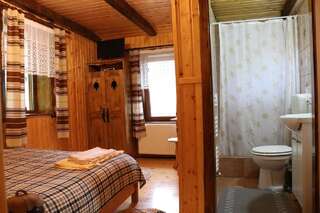 Гостевой дом Casa Bunicii Costeşti Двухместный номер с 1 кроватью и собственной ванной комнатой-6